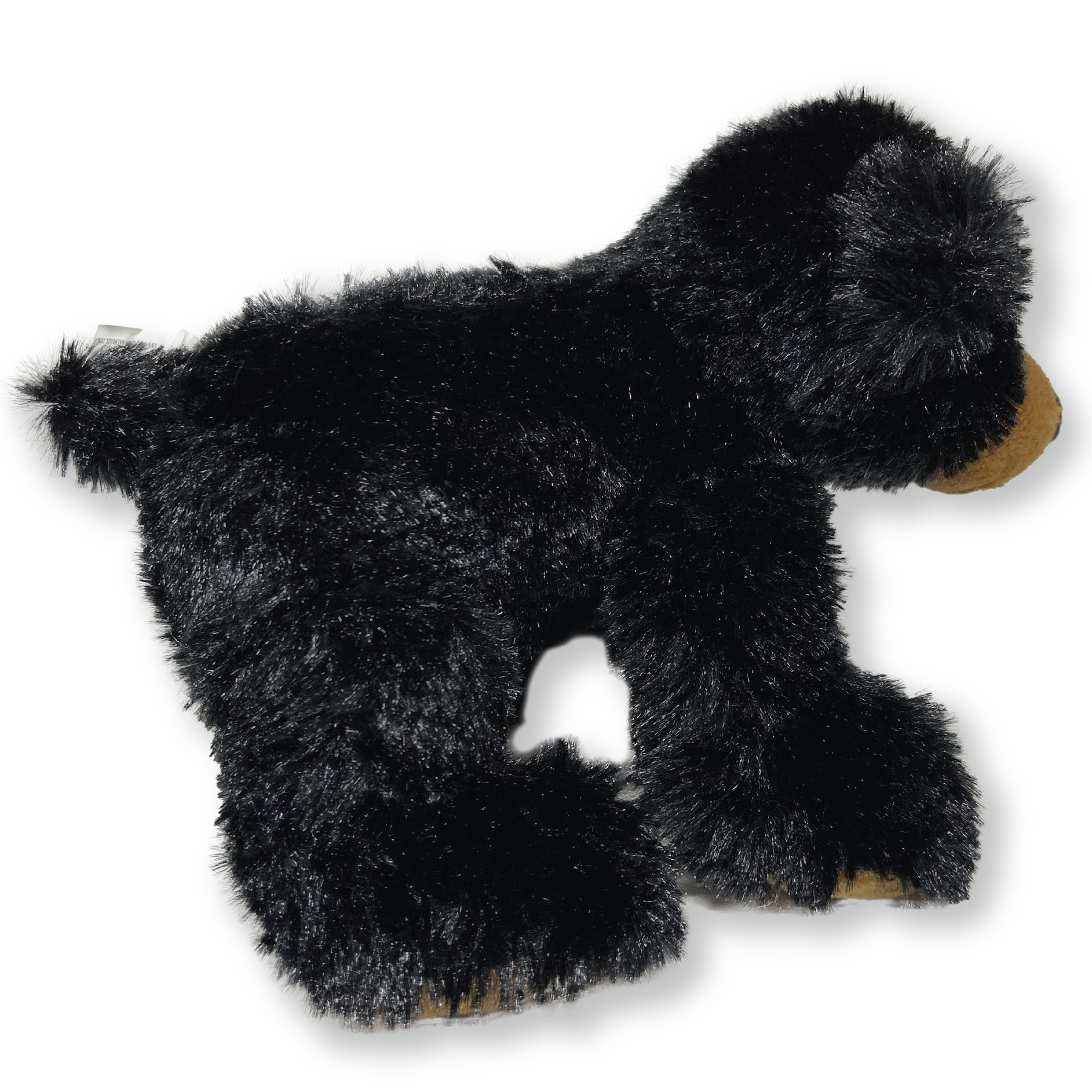 Maplefoot Black Bear side view